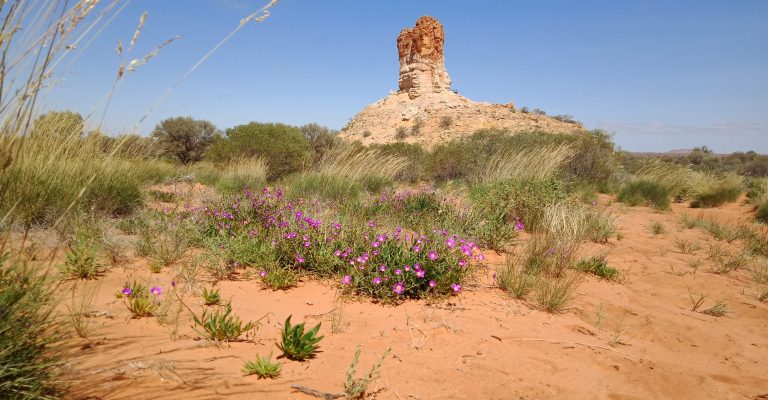 Chambers Pillar